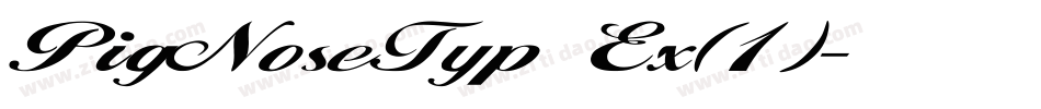 PigNoseTyp Ex(1)字体转换